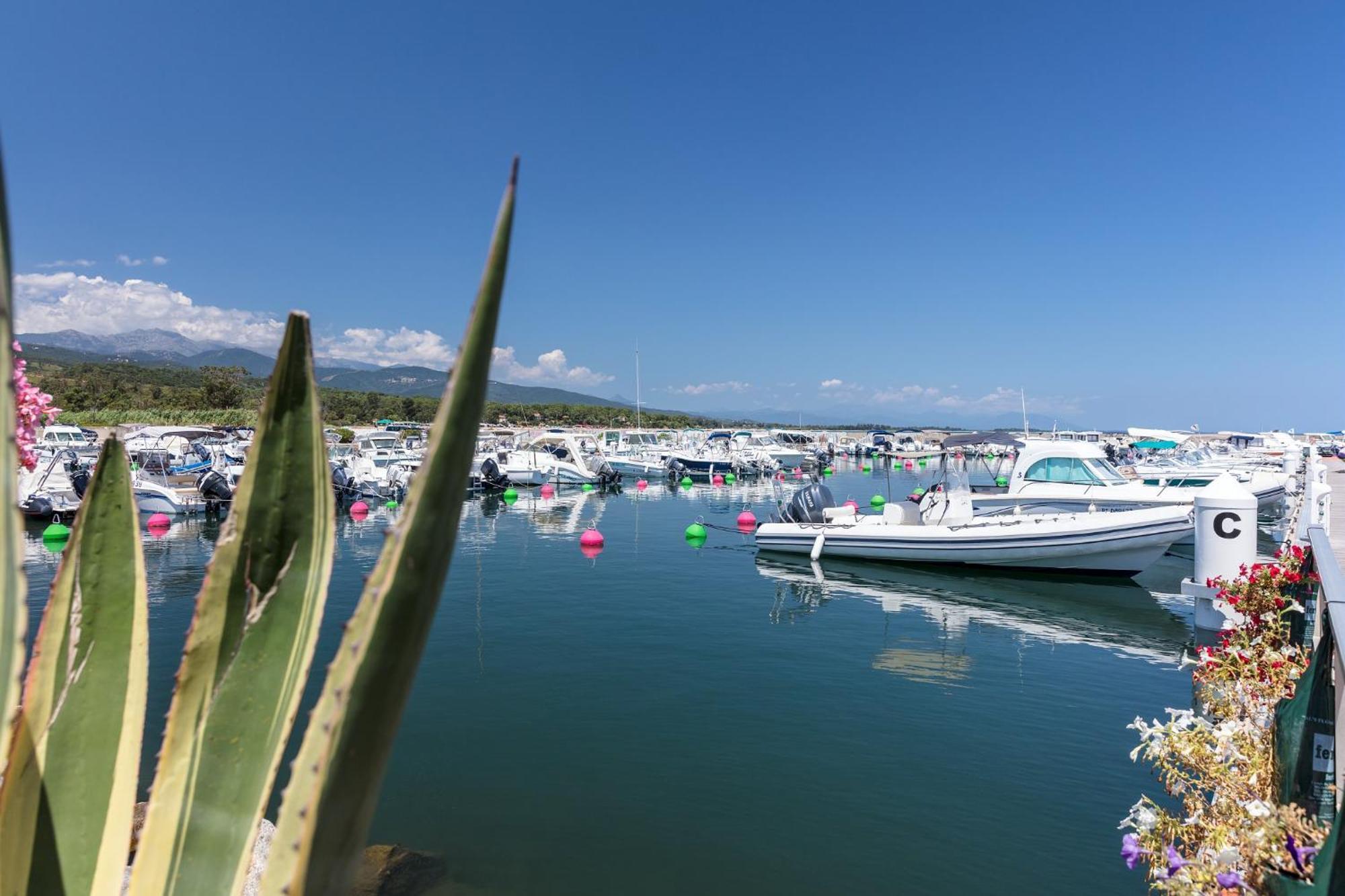 Campsite Sole Di