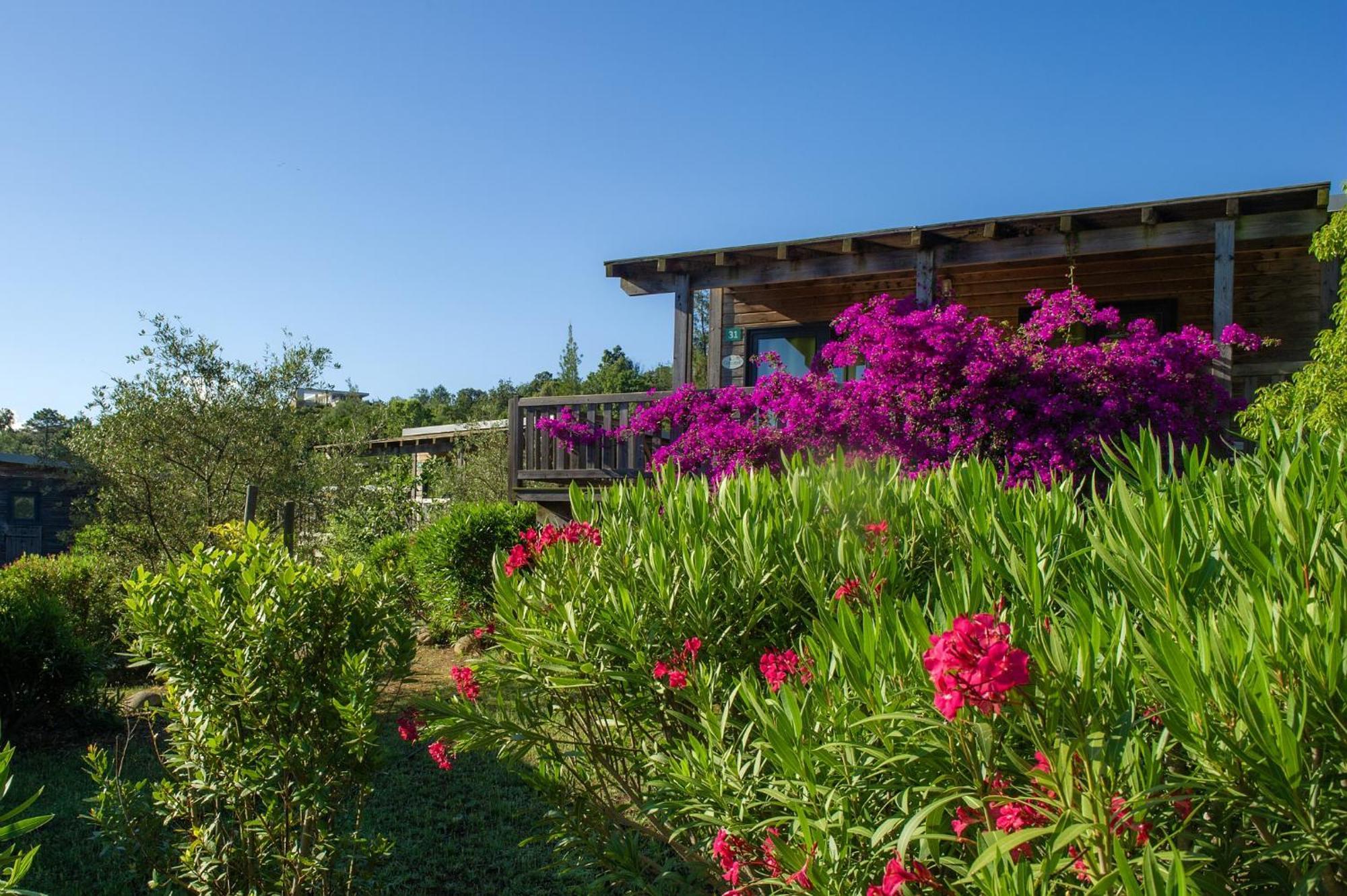 Campsite Sole Di